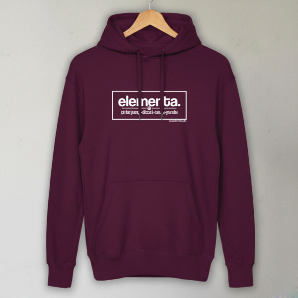 Sudadera con capucha Elemento